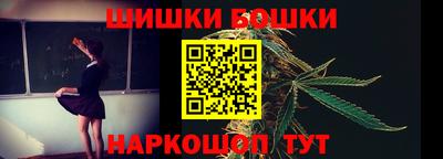 шишки Кингисепп