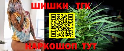 шишки Кингисепп