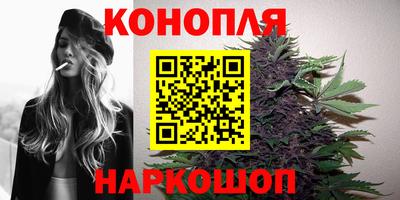 шишки Кингисепп