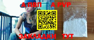 шишки Кингисепп