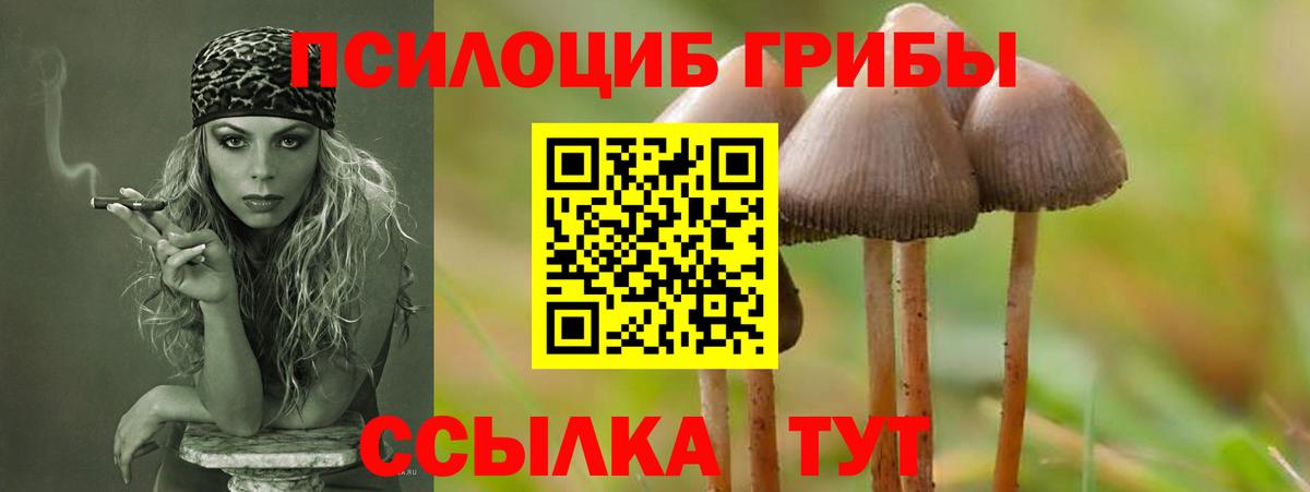 Псилоцибиновые грибы ЛСД Шелехов